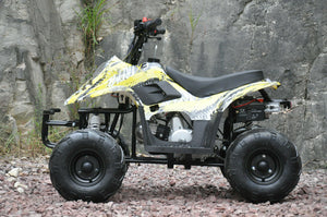 MMW 110CC sports Auto ATV QUAD Dirt Bike Gokart 4 Wheeler Buggy kids yello