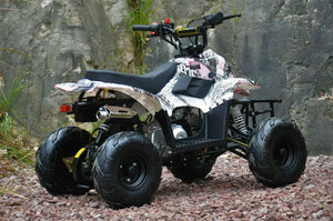 110CC sports Auto ATV QUAD Dirt Bike Gokart 4 Wheeler Buggy kids p