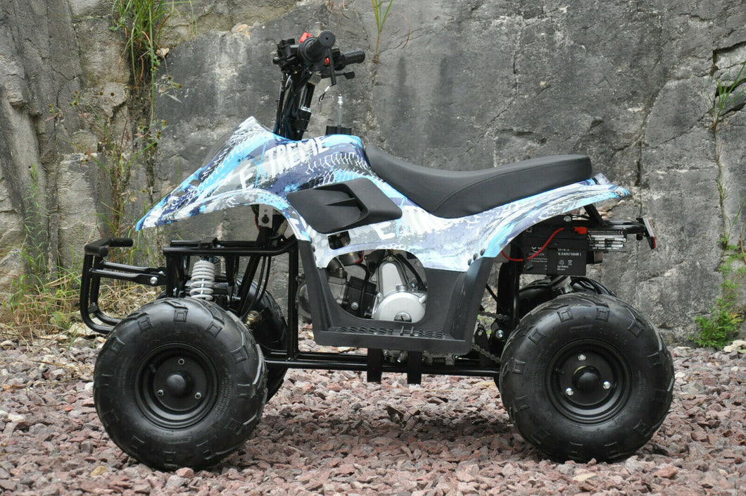 110CC sports Auto ATV QUAD Dirt Bike Gokart 4 Wheeler Buggy kids blue