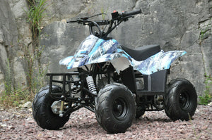 110CC sports Auto ATV QUAD Dirt Bike Gokart 4 Wheeler Buggy kids b