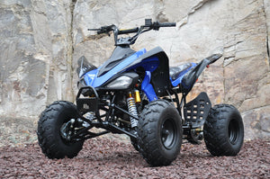 MMW 250CC SPORTS ATV QUAD BUGGY Gokart 4 Wheeler MOTOR BIKE BLUE