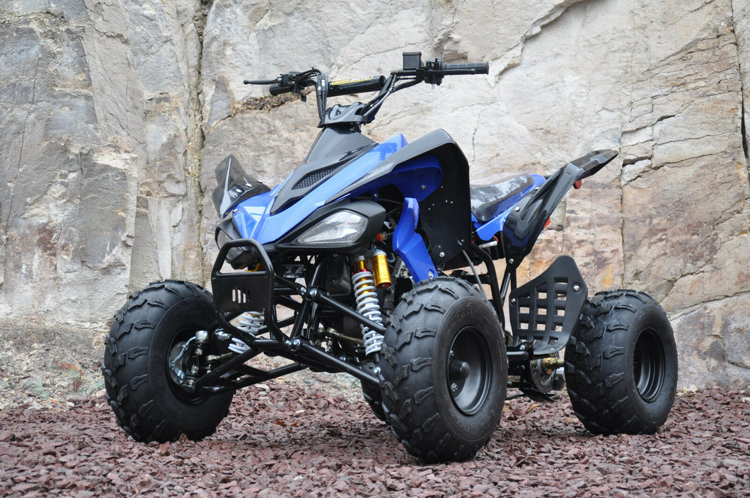 MMW 250CC SPORTS ATV QUAD BUGGY Gokart 4 Wheeler MOTOR BIKE BLUE