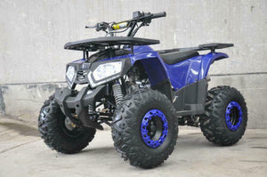 MMW RAIDER 150CC Semi Auto ATV QUAD Gokart 4 Wheeler BUGGY MOTOR BIKE blue